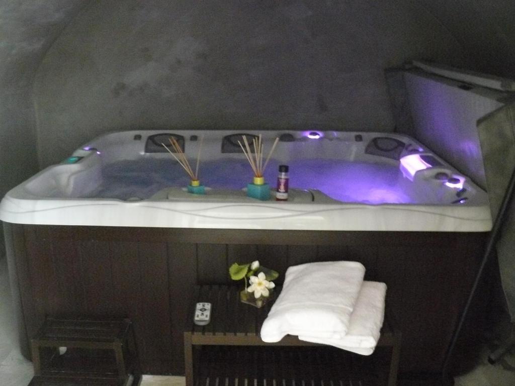 Chambres D'Hotes L'Albinque カストル エクステリア 写真